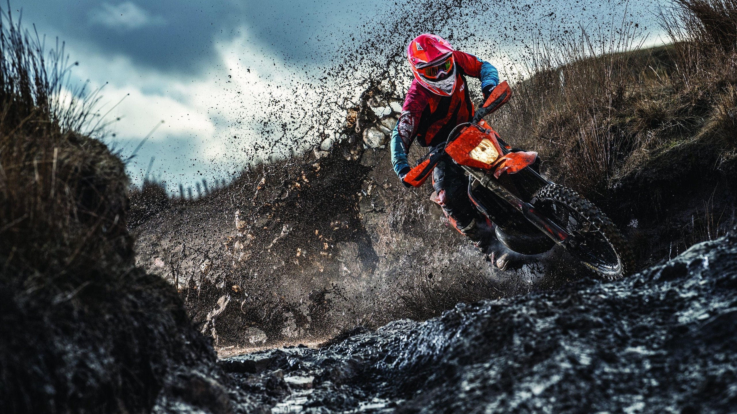 锡安关键制胜，鹈鹕掘金轻取爵士，新生代力量的重塑之战